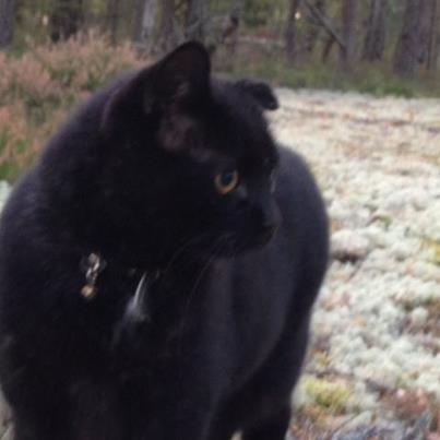 262703_4542129023547_1452688284_n