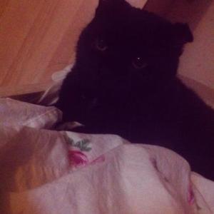 564685_10200317784570135_762172628_n